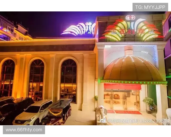 探索百胜鑫百利24的独特魅力与价值